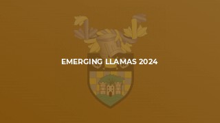 Emerging Llamas 2024