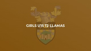 Girls U15 T2 Llamas