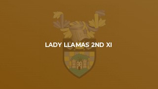 Lady Llamas 2nd XI