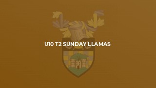 U10 T2 Sunday Llamas