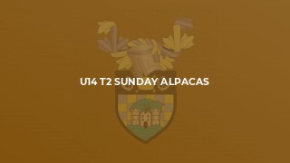 U14 T2 Sunday Alpacas