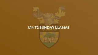 U14 T2 Sunday Llamas