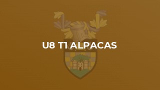 U8 T1 Alpacas