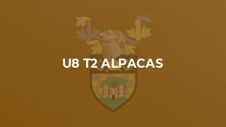 U8 T2 Alpacas