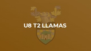 U8 T2 Llamas