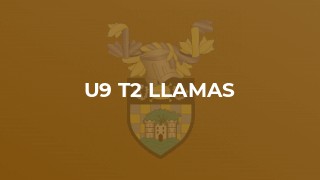 U9 T2 LLAMAS