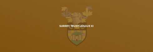 East Molesey U21s too strong as Trust XI fall short in chase