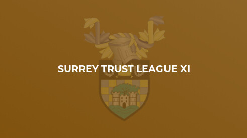 Family outing spoiled by quality Guildford Academy XI
