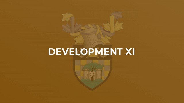 Development XI