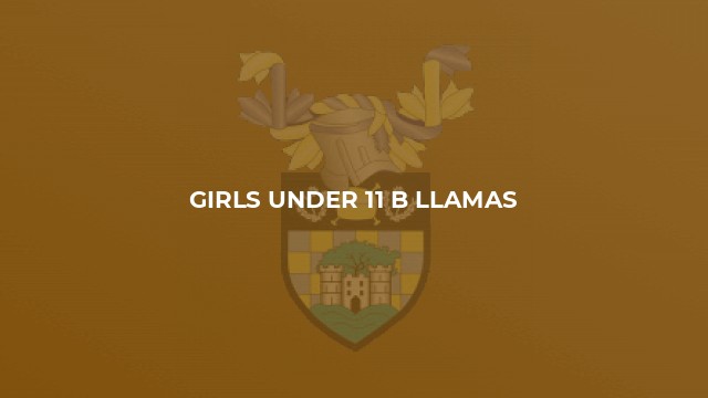 Girls Under 11 B Llamas