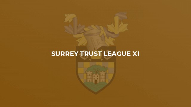 Surrey Trust League XI