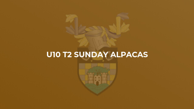 U10 T2 Sunday Alpacas