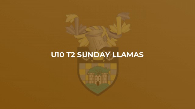 U10 T2 Sunday Llamas