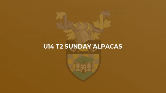 U14 T2 Sunday Alpacas