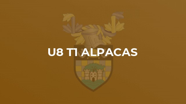 U8 T1 ALPACAS