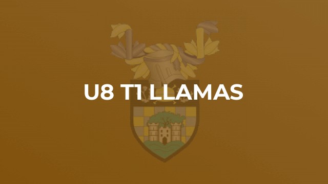 U8 T1 Llamas