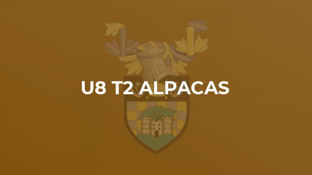 U8 T2 Alpacas