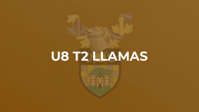 U8 T2 Llamas