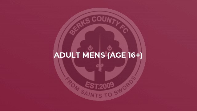 Adult Mens (age 16+)