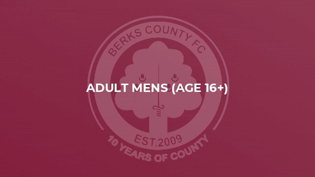 Adult Mens (age 16+)