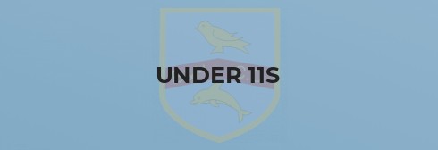Under 11s lose in cup final