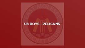 U8 Boys - Pelicans