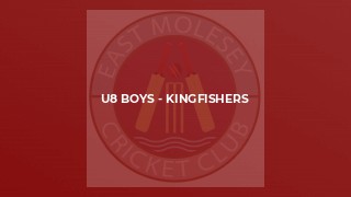 U8 Boys - Kingfishers