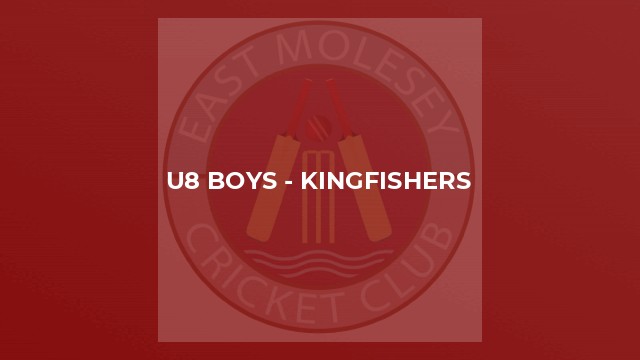U8 Boys - Kingfishers