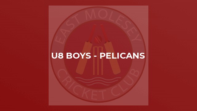 U8 Boys - Pelicans