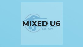 Mixed U6