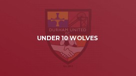 Under 10 Wolves
