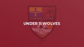 Under 11 Wolves