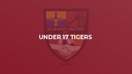 Under 17 Tigers