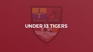 Under 13 Tigers