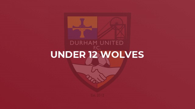 Under 12 Wolves