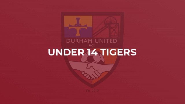 Under 14 Tigers