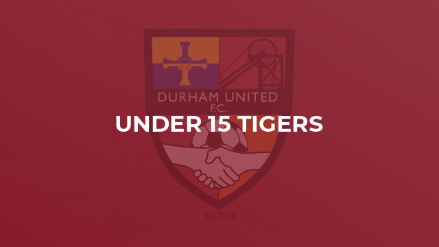 Under 15 Tigers