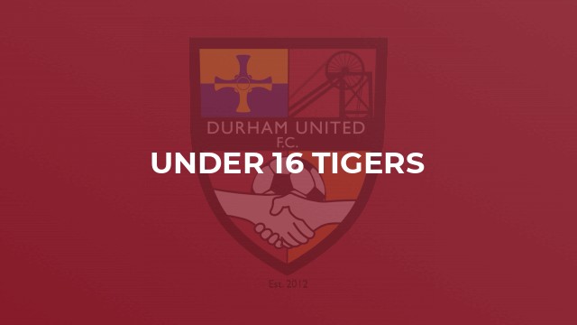 Under 16 Tigers