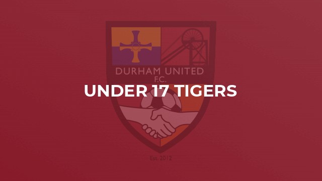 Under 17 Tigers
