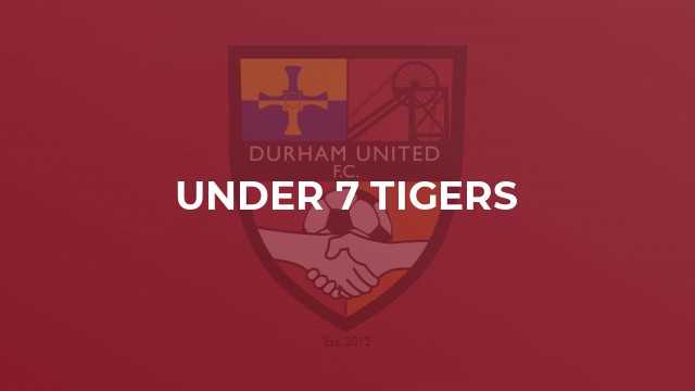 Under 7 Tigers