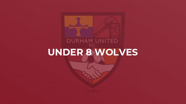 Under 8 Wolves