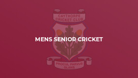 Mens Senior Cricket