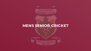 Mens Senior Cricket