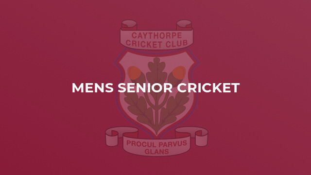 Mens Senior Cricket