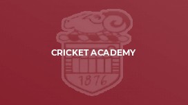 Cricket Academy