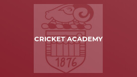 Cricket Academy