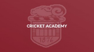 Cricket Academy