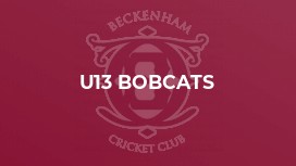 U13 Bobcats