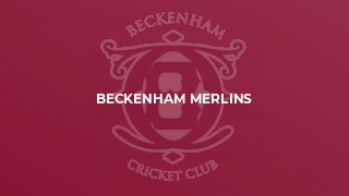 Beckenham Merlins