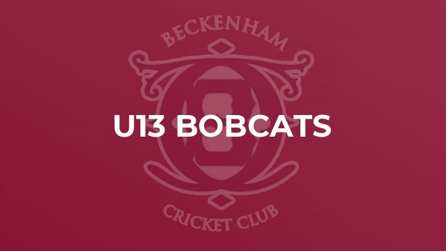 U13 Bobcats